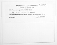 Tuberculina persicina image